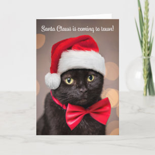 Feliz Navidad para cualquier gato con sombrero de