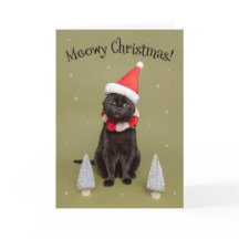 Feliz Navidad para cualquier gato divertido con so