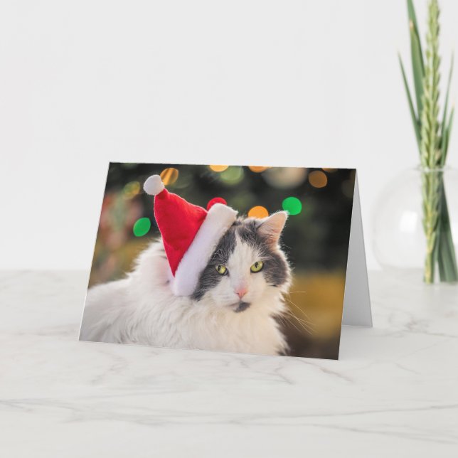 Feliz Navidad para cualquier gato lindo con sombre (Anverso)