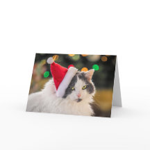 Feliz Navidad para cualquier gato lindo en Santa H