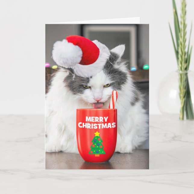 Feliz Navidad Para Cualquier Gato Que Se Beba Caca (Anverso)