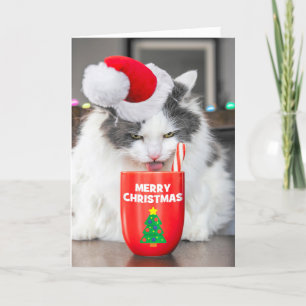 Feliz Navidad Para Cualquier Gato Que Se Beba Caca