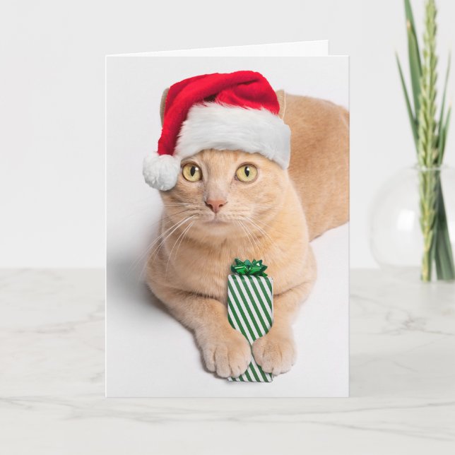 Feliz Navidad Para Cualquier Naranja Tabby Cat (Anverso)