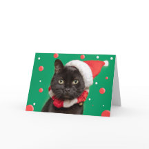 Feliz Navidad para cualquiera Gato divertido con s