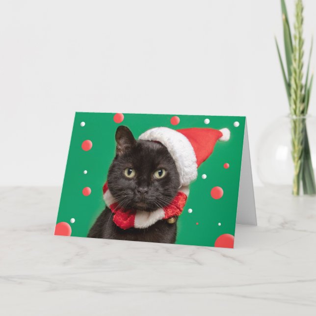Feliz Navidad para cualquiera Gato divertido con s (Anverso)