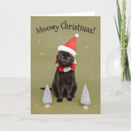 Feliz Navidad para cualquiera Gato divertido con s