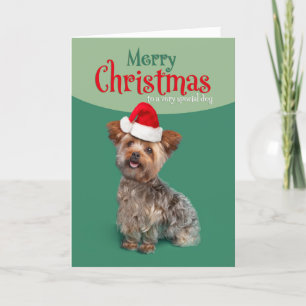 Feliz Navidad para perro adorable Yorkie con sombr