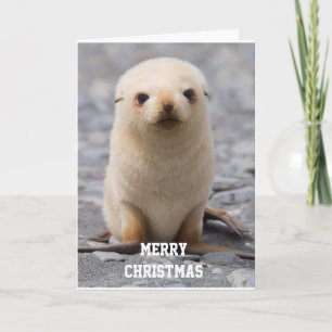 ¡FELIZ NAVIDAD "PARA TI!" DE "YO"