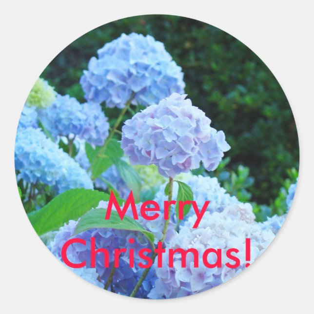 ¡Feliz Navidad! pegatinas Hortensias Lavanda Azul (Anverso)
