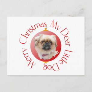Feliz Navidad Pekín