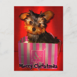 Feliz Navidad Pequeño Personalizable Yorkie