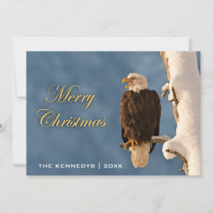 Feliz Navidad - Perching de águila calva