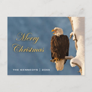 Feliz Navidad - Perching de águila calva