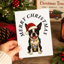 Feliz Navidad Perrito Boston Terrier Lindo Sombrer