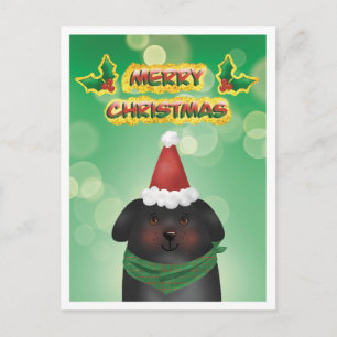 Feliz Navidad Perro con Gorro de Santa