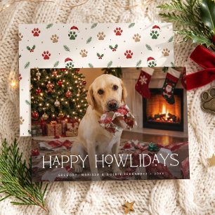 Feliz Navidad Perro Divertido Foto Navidad