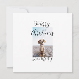 Feliz Navidad perro gato foto regalos navideños lo