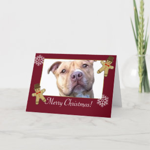 Feliz Navidad Perro Pitbull