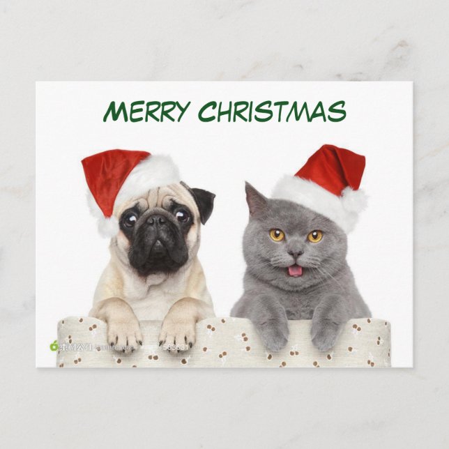 Feliz Navidad Perro Pug y Kittten (Anverso)