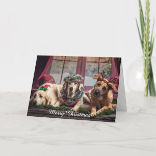 Feliz Navidad Personaliza Foto de Mascota con Nomb