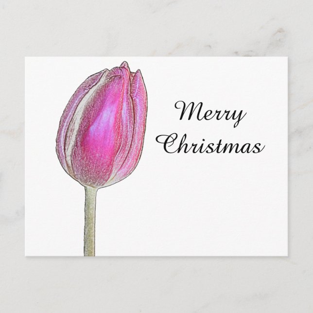 Feliz Navidad Pink Tulip Flor Flor Arte Floral Bla (Anverso)