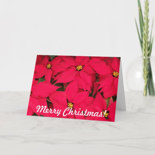 Feliz Navidad Poinsettias (Anverso)