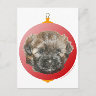 Feliz Navidad Querido Perrito Rescatado