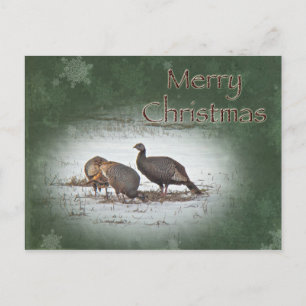 Feliz Navidad Salvaje Turquía