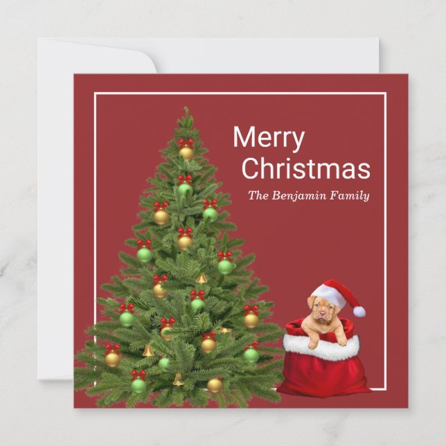 Feliz Navidad Santa Claus Perro divertido personal (Anverso)