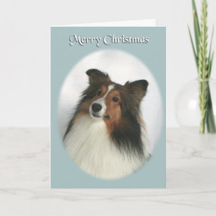 Feliz Navidad Sheltie