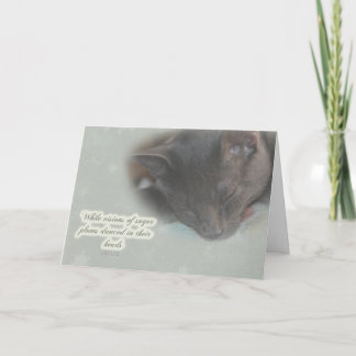 Feliz Navidad - Sleeping Kitty - Dreams