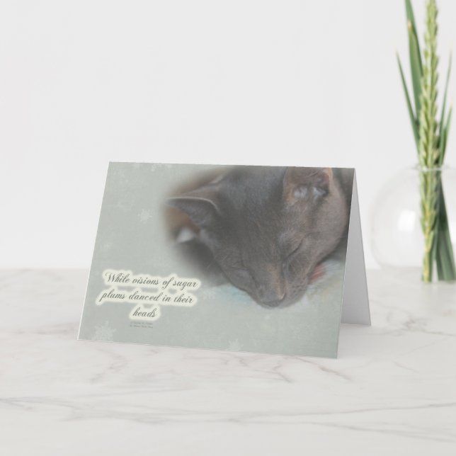 Feliz Navidad - Sleeping Kitty - Dreams (Anverso)