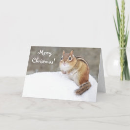 Feliz Navidad Snowy Chipmunk