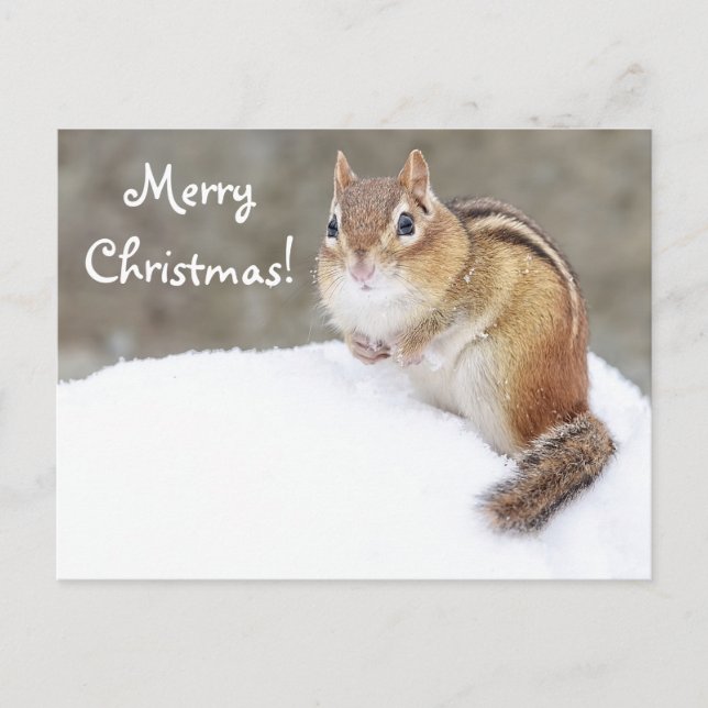 Feliz Navidad Snowy Chipmunk (Anverso)