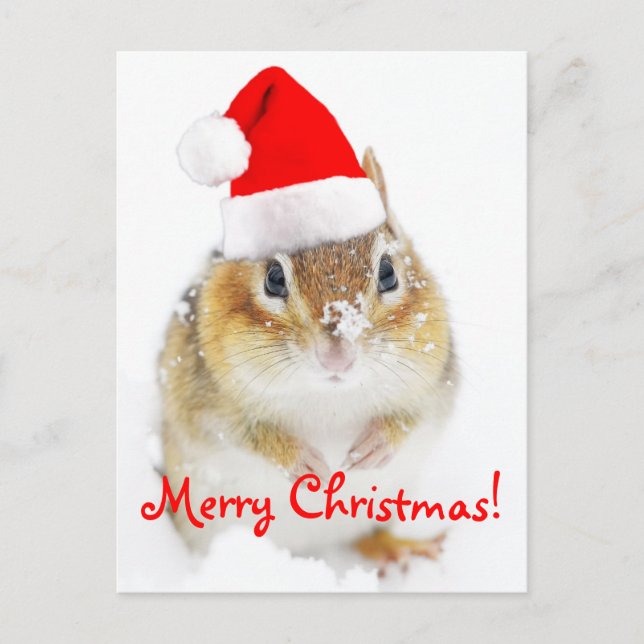 Feliz Navidad Snowy Santa Chipmunk (Anverso)