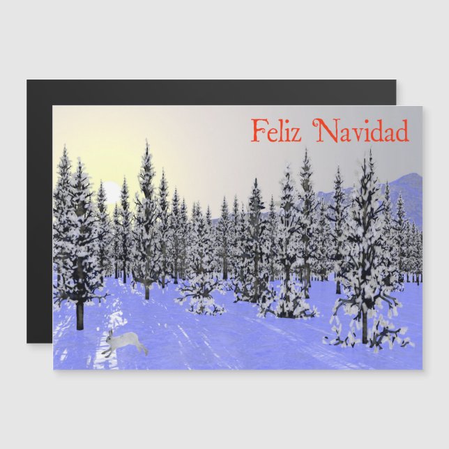 Feliz Navidad - Solsticio de invierno (Anverso/Reverso)