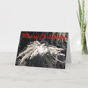 Feliz Navidad, tarjeta