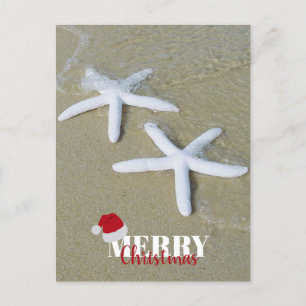 Feliz Navidad Verano Starfish Beach Xmas