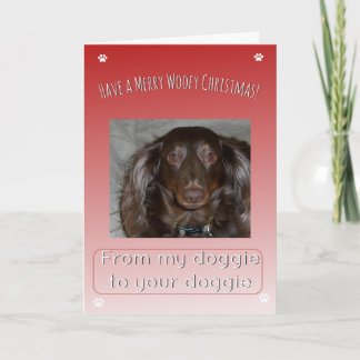 Feliz Navidad Woofy de un perrito a otro