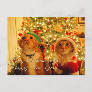 Feliz navidad y feliz año nuevo