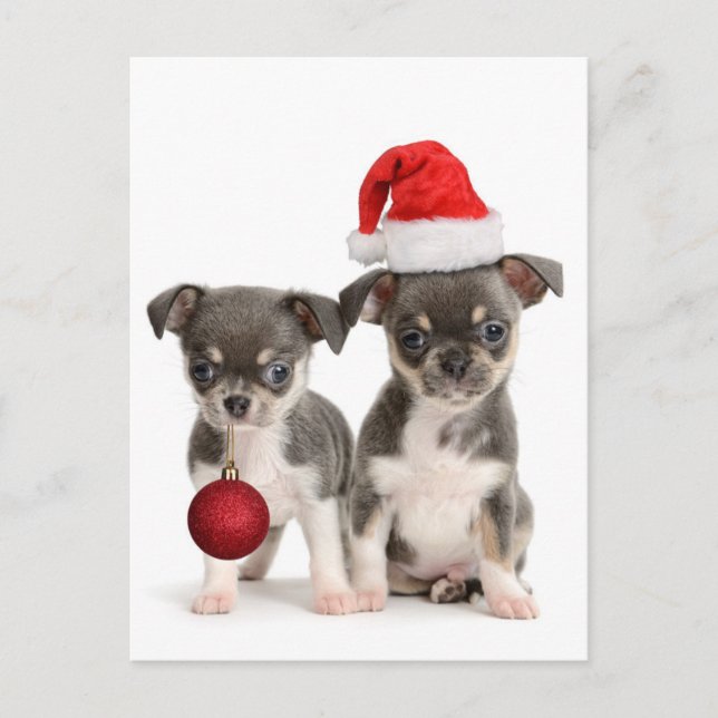 Feliz Navidad Y Feliz Año Nuevo (Anverso)