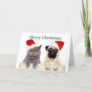 Feliz Navidad y perro pug