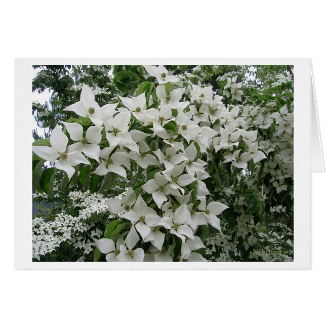 Feliz nueva vida juntos (Anverso (Horizontal))