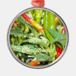 Feliz ornamento de la pimienta de chile de