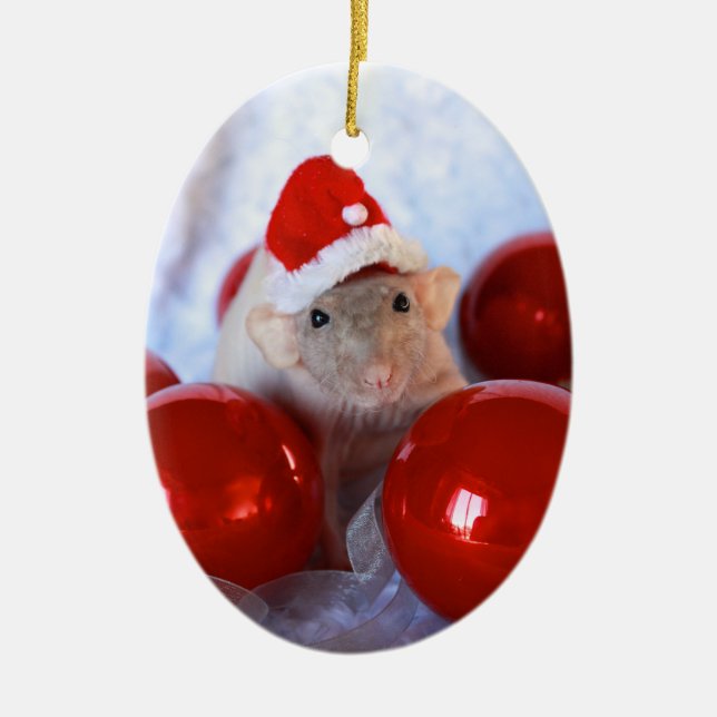 Feliz ornamento de Ratsmas Christmast (Frente)
