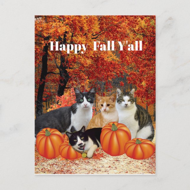 Feliz Otoño para Todos Gatos y Calabazas Tarjeta P (Anverso)