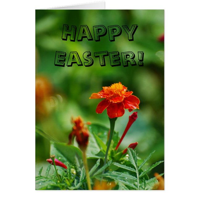 ¡Feliz Pascua! (Frente)