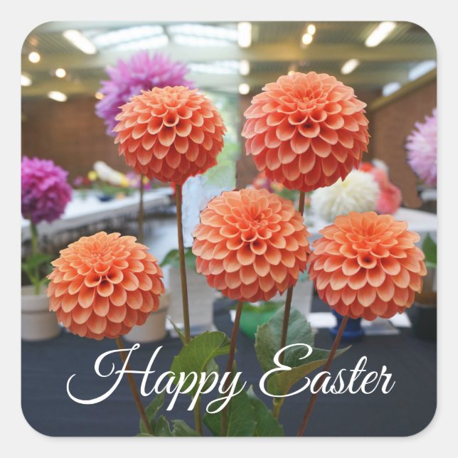 Feliz Pascua Dahlia Rosa Toscano #1-1 Pegatinas (Anverso)