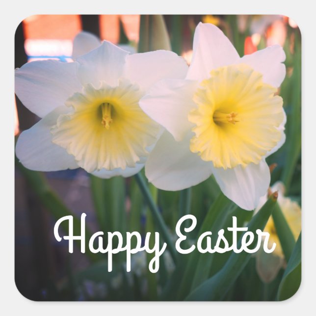 Feliz Pascua, grandes Pegatinas de Daffodil (Anverso)