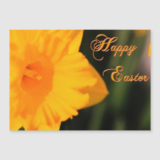 Feliz Pascua Primavera Amarilla Flor de Daffodil (Anverso)